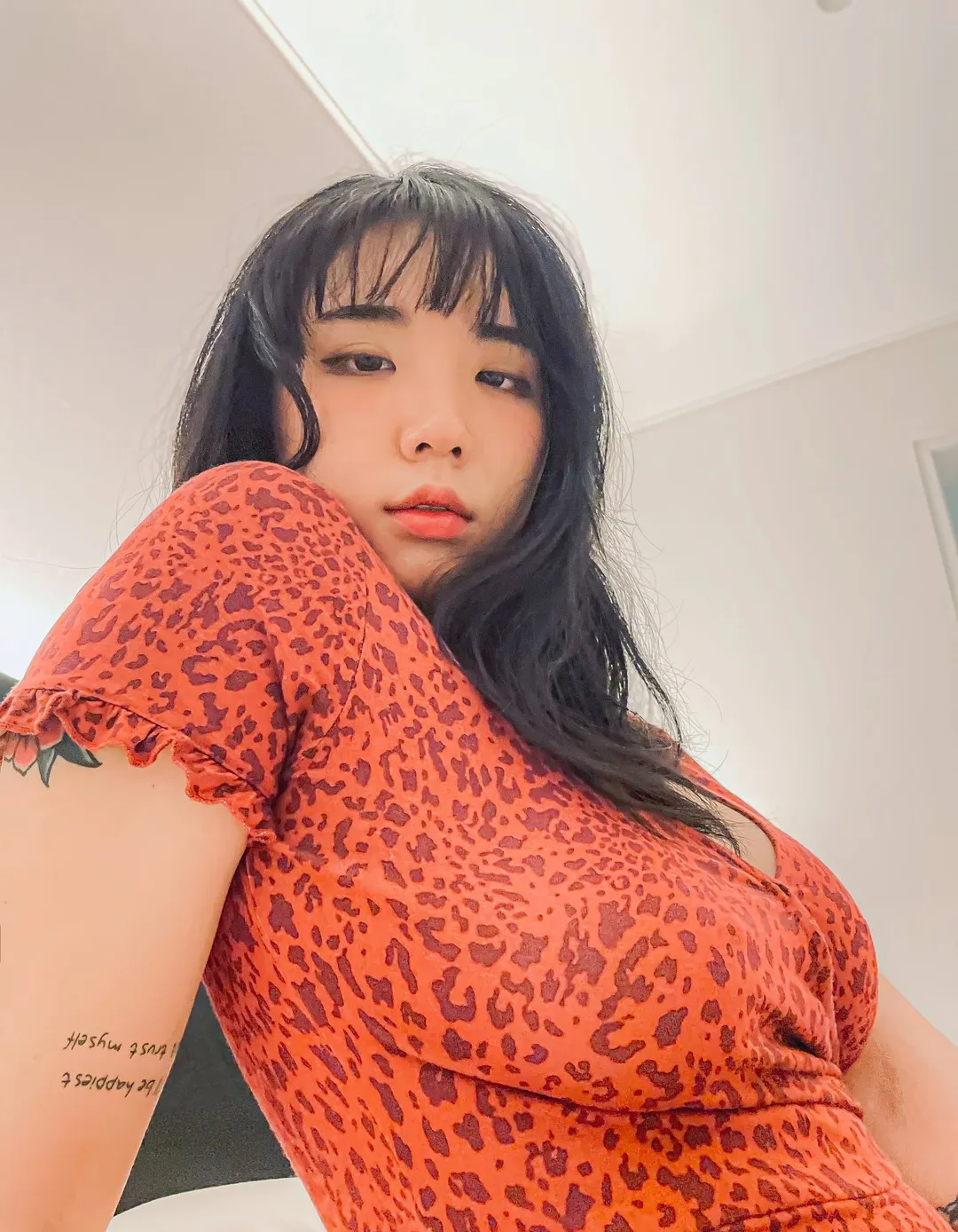写真与视觉图集归档 黑色长发搭配橙色服装的室内造型图片